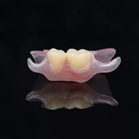 Dental Unilateral Nesbit Valplast Denture